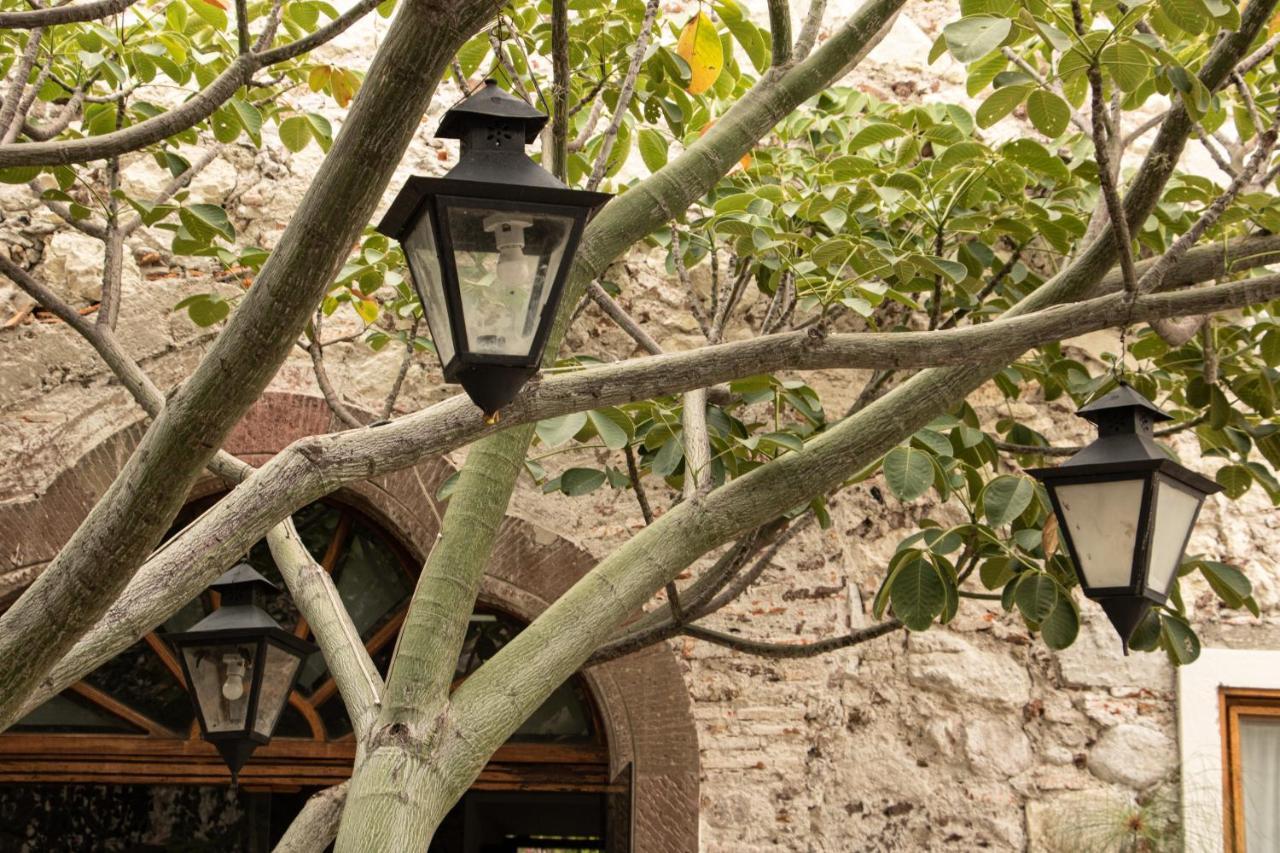 Orchid House San Miguel De Allende Kültér fotó