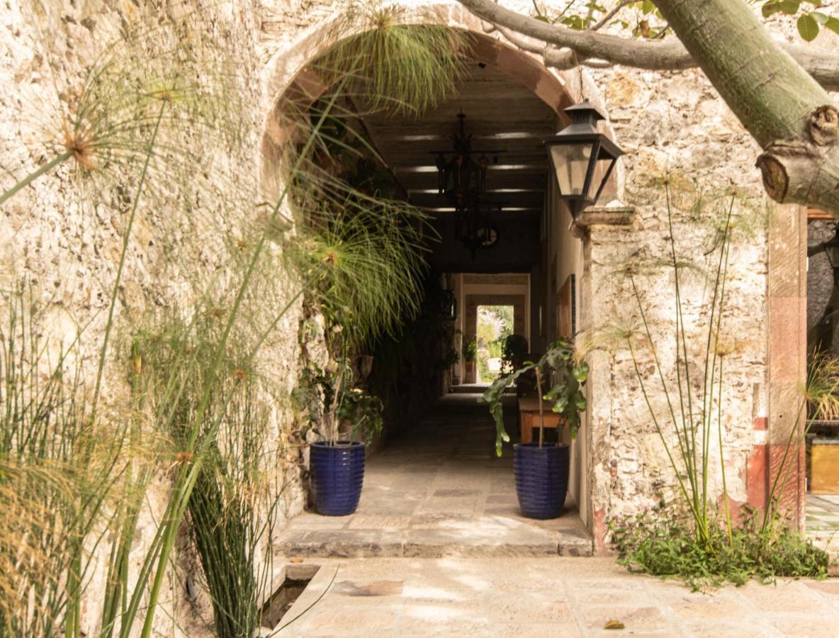 Orchid House San Miguel De Allende Kültér fotó
