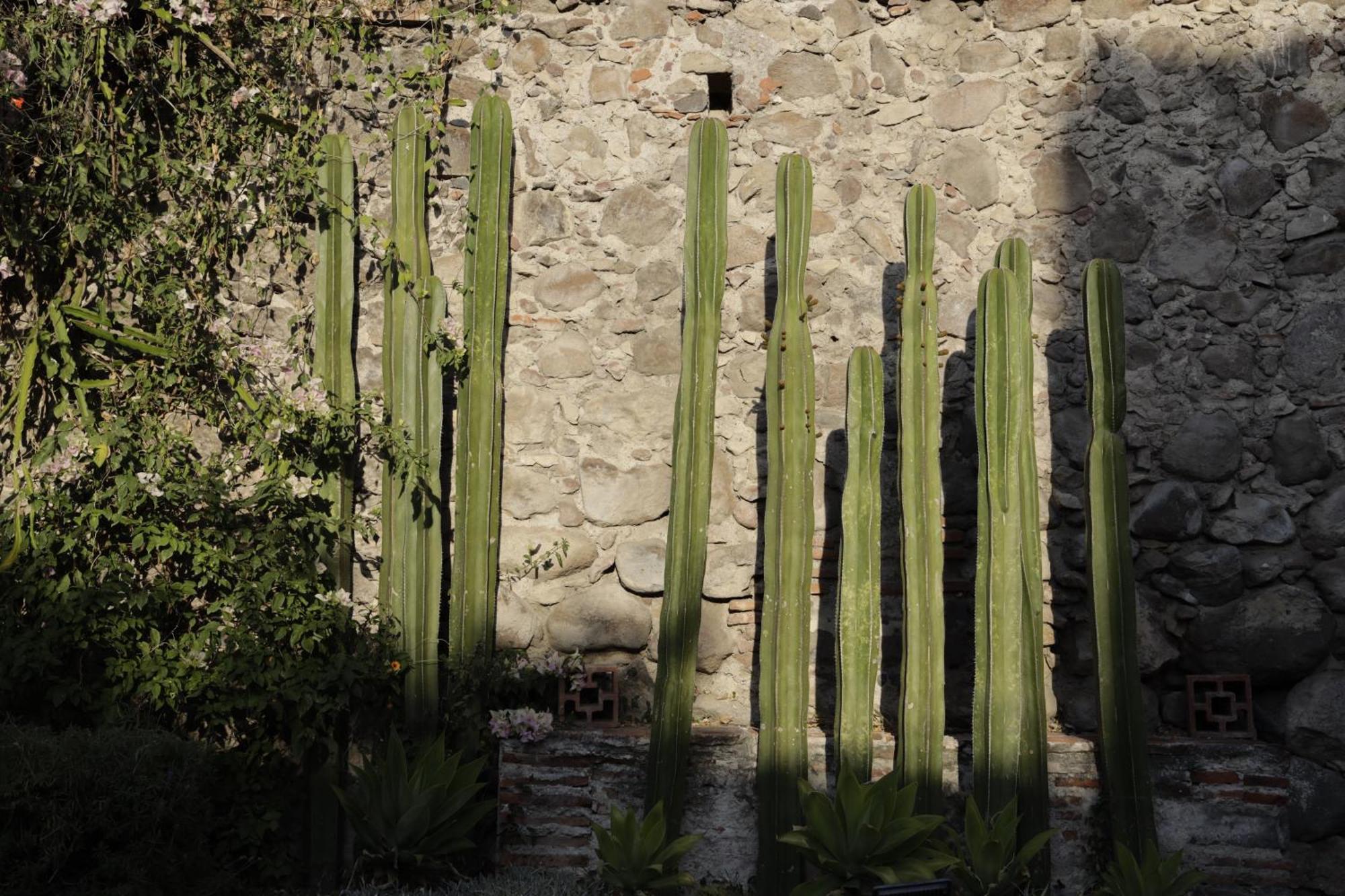 Orchid House San Miguel De Allende Kültér fotó
