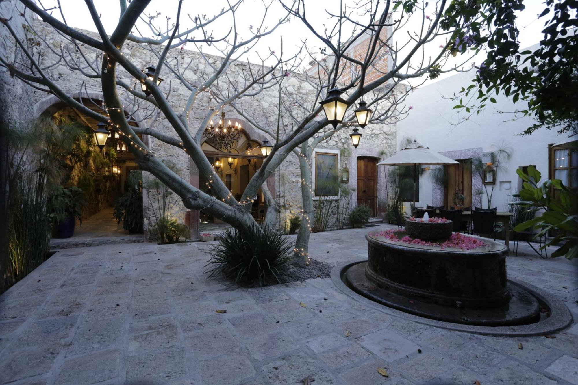 Orchid House San Miguel De Allende Kültér fotó